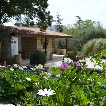 Bluegreenvilla